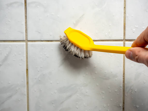 Best Affordable Mold Removal  in Buckley, WA